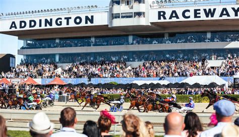addington raceway|addington cup day 2022.
